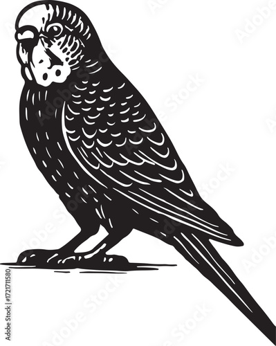 Detailed linocut illustration of a budgerigar bird perched on a surface black and white artistic rendering
