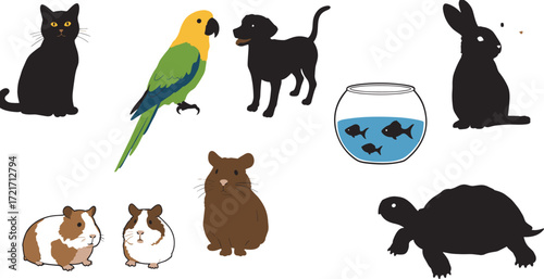 Pet animal illustration, cat dog rabbit, parrot turtle guinea pig, fishbowl icon, hamster vector, domestic pets, colorful bird, furry friend