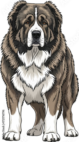 Caucasian Shepherd Dog standing alert guarding stance illustration