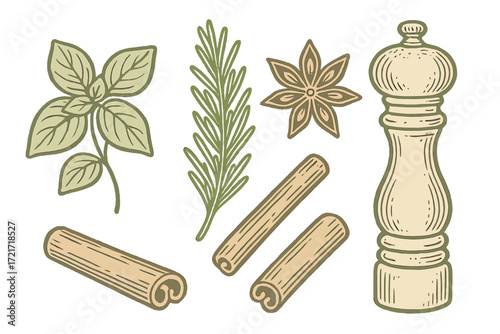 Aromatic cooking ingredients set with fresh basil, rosemary, star anise, cinnamon sticks, and a classic pepper mill