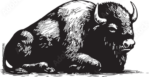 Detailed black and white pen and ink sketch of a majestic bison resting on the ground in a natural setting