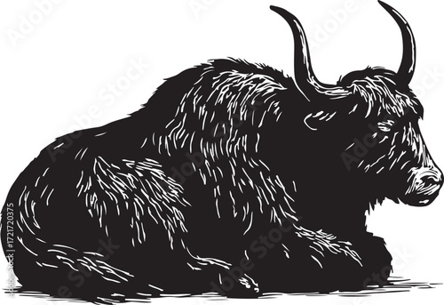 Black and white illustration of a shaggy long haired yak resting peacefully on a white background in a detailed sketch style