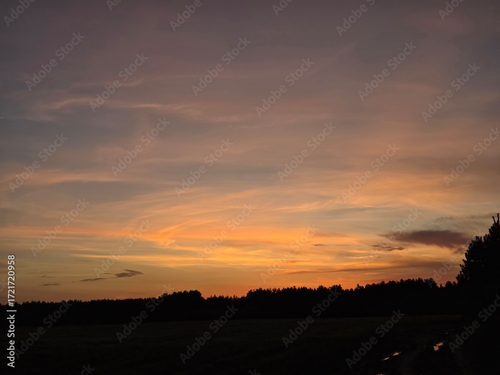 Fototapeta premium Sunset sky with warm orange and pink tones over dark forest silhouette. Good for backgrounds, nature websites, travel blogs, social media or inspirational designs