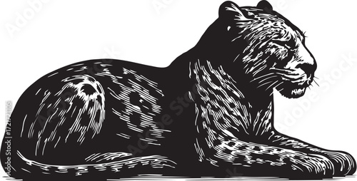 Detailed black and white woodcut illustration of a majestic black panther resting in a profile view with intricate fur patterns