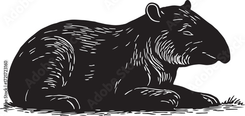Black and white woodcut illustration of a tapir resting on grassy ground in a side profile view
