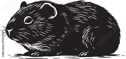 Black and white woodcut illustration of a guinea pig with textured fur sitting on a white background