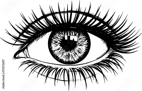 Detailed black and white sketch of an eye with long eyelashes. Vector illustration