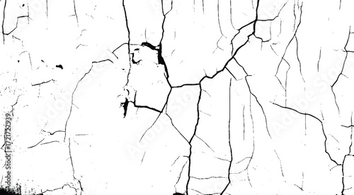 Abstract vector grunge crack texture with distressed black lines on white background. Grunge Image Technique, Vector, Abstract