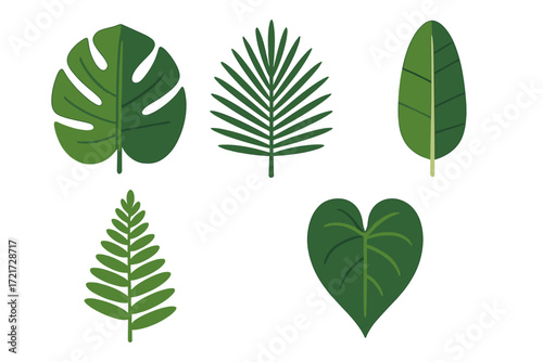 Vibrant green tropical leaves in a diverse collection, showcasing various botanical shapes and natural textures for a lush design