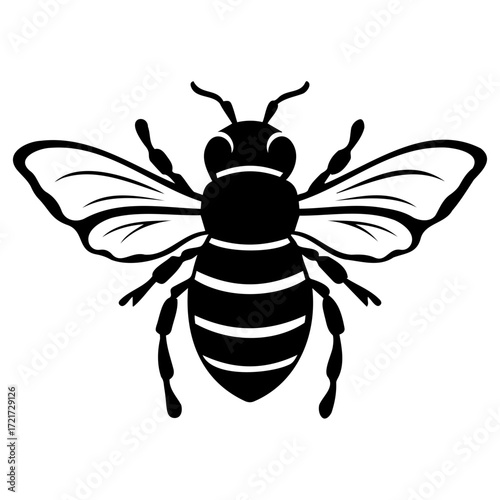 Illustration of a black and white bee with detailed wings and striped abdomen in a symmetrical design