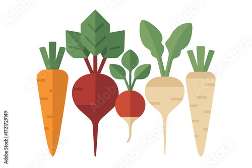Colorful collection of various healthy root vegetables including carrots, beets, radishes, turnips, and parsnips with green foliage