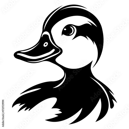 Illustration of a black and white duck with a detailed eye and beak in a graphic design style art
