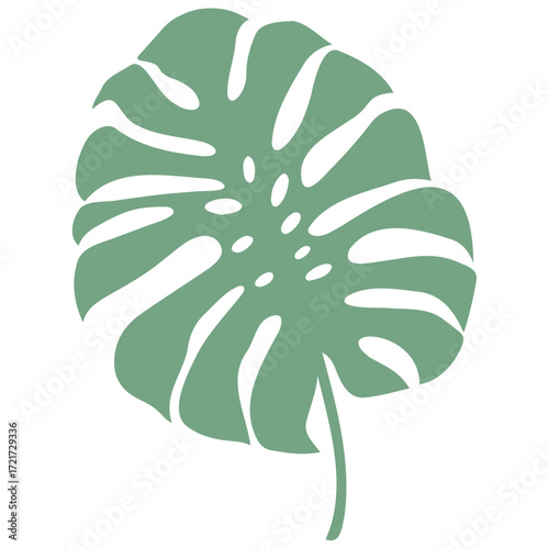 Illustration of a single monstera deliciosa leaf in light green color with a stem on a white background