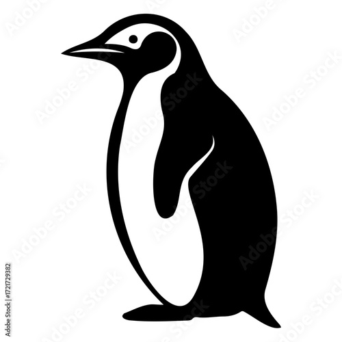 Illustration of a penguin standing upright with black and white plumage in a simple vector style