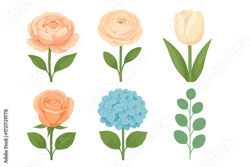 Vibrant assortment of delicate blooming spring and summer flowers including roses, tulips, peonies, ranunculus, and hydrangeas with green leaves