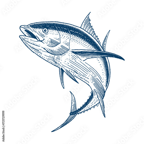 An illustration of a bluefin tuna leaping from the water, rendered in a detailed engraving or woodcut style, showcasing its powerful form and scales. Hand drawn engraving style vector.
