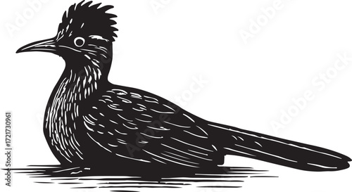 Stylized black and white woodcut illustration of a roadrunner bird with a distinctive crest and long tail sitting on the ground