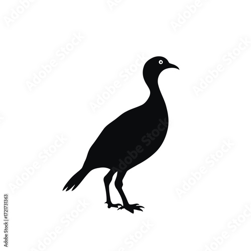 Black silhouette vector illustration of a wild pigeon isolated on white