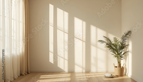 Sunlit Empty Room with Palm Plant  Curtain  and Window Grid Shadows
