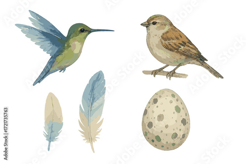 Artistic watercolor style hummingbird, perching sparrow, two natural feathers, and a speckled egg