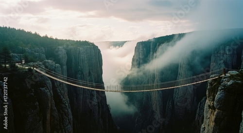 Misty gorge suspension bridge