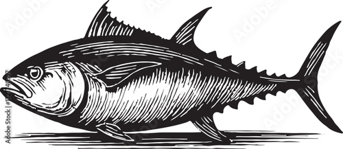 Vintage style woodcut illustration of a large tuna fish swimming in the ocean with detailed fins and scales