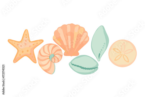 Collection of diverse marine life elements including starfish, nautilus, scallop, seashells, and a sand dollar