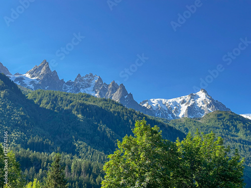 Green and Blue Mountains Looming Over Chamonix in the Summertime 