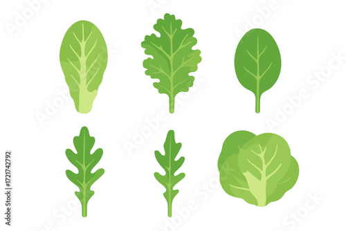 Assortment of fresh green salad leaves including spinach, kale, and arugula for healthy eating and cooking