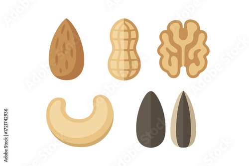 Assortment of healthy edible nuts and seeds including almond, peanut, walnut, cashew, and sunflower seeds, a nutritious and wholesome snack