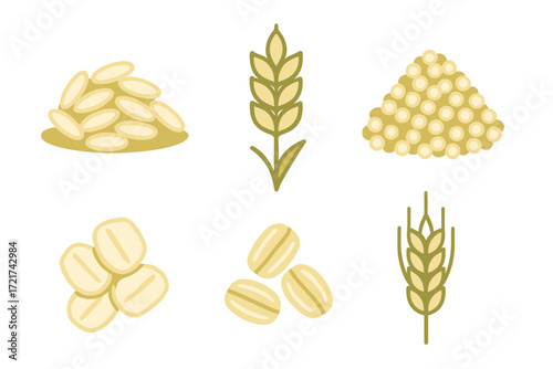 Natural healthy cereal grains including rice, oats, millet, and wheat plant elements for food and agriculture