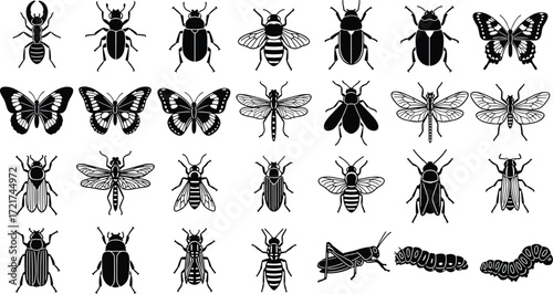 Black and white insect illustration set, beetles, butterflies, bees, dragonflies, flies, grasshoppers, caterpillars, entomology, biology, nature, detailed vector collection