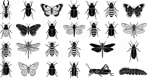 Black and white insect illustration set, beetles, butterflies, bees, dragonflies, flies, grasshoppers, caterpillars, entomology, biology, nature, detailed vector collection