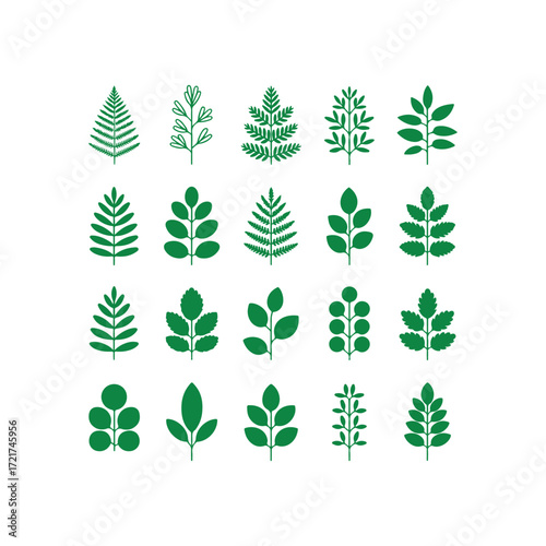 Vector pack of various green foliage and leaves in flat style, eco botanical illustration elements for organic design, gardening, nature decoration, environment, ecology, and natural plant graphics