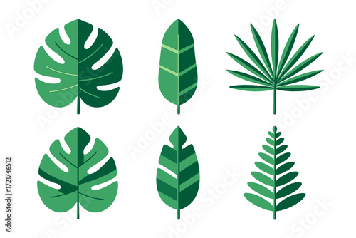 Diverse assortment of stylized green tropical leaves and exotic foliage elements for nature and botanical designs