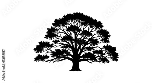 vector tree silhouette