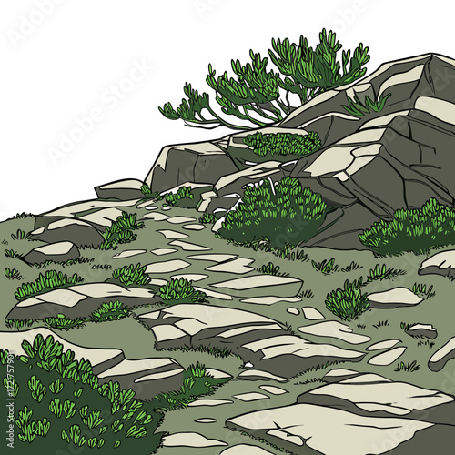A winding stone path leads through a rocky landscape with green bushes and sparse vegetation