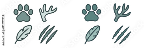 Exploring animal tracks and nature signs in a forest setting with paw prints and leaves