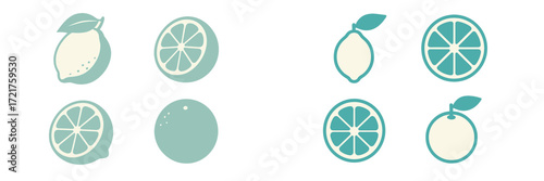 Illustrations of lemons and oranges with simple designs showcasing their unique features and shapes