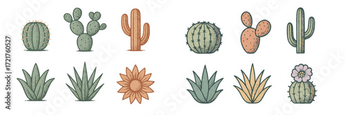 Collection of hand-drawn cacti and succulents featuring various species in a colorful and artistic style