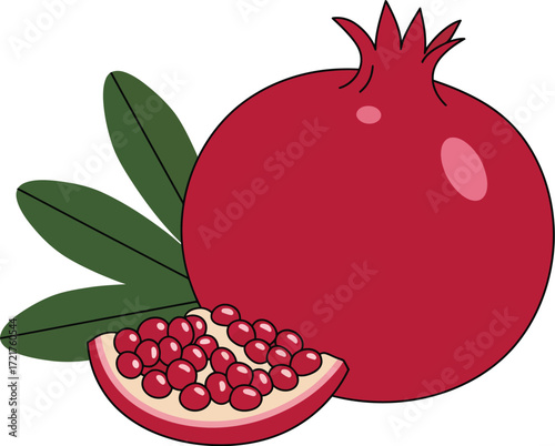 Vibrant pomegranate fruit vector illustration scalable for design projects eps format