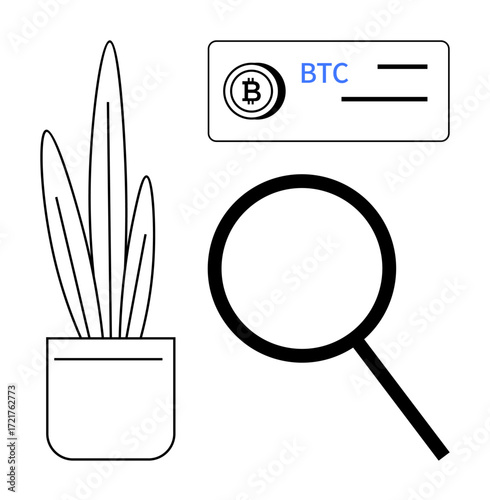 Magnifying glass highlights cryptocurrency Bitcoin with wallet details, paired with potted plant. Ideal for finance, crypto trading, investment, research, analysis, digital currency, simple flat