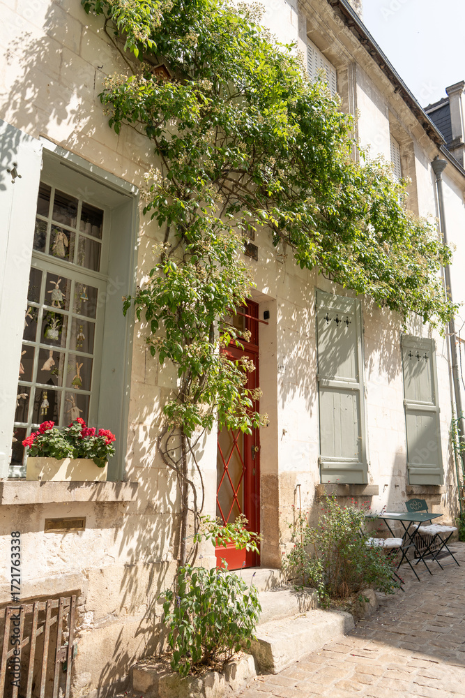 Obraz premium Devanture d'une maison dans le centre de Loches, centre Val de Loire, France, Europe