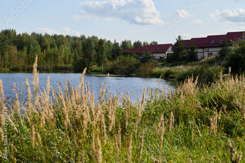 A Serene and Stunning Lakeside View Featuring Lush Vegetation Alongside Modern Architecture