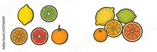 Variety of fresh citrus fruits including lemons, limes, oranges, and grapefruits displayed on a clean white background
