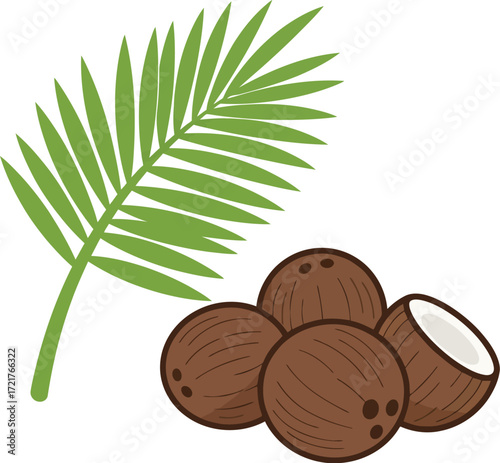 Tropical coconut illustration vector scalable graphic icon for eps files