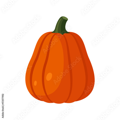 Tall orange pumpkin vegetable isolated flat vector illustration