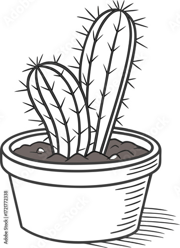 Green houseplant with potted cactus in a flowerpot isolated on a white background