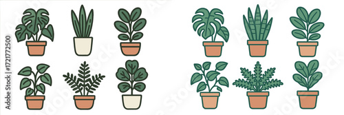 Various indoor plants arranged in pots on a light background showcasing diverse foliage and shapes