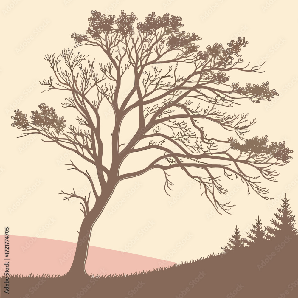 Obraz premium Transparent Grain Overlay Neutral Gradient 1